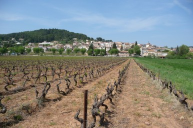 Vue du village © Médiéval AFDP