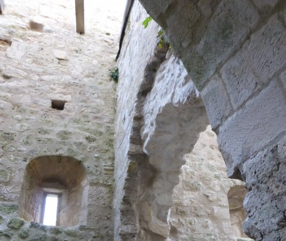 Vue des ruines du château de Scey, dit Castel Saint-Denis © Médiéval AFDP